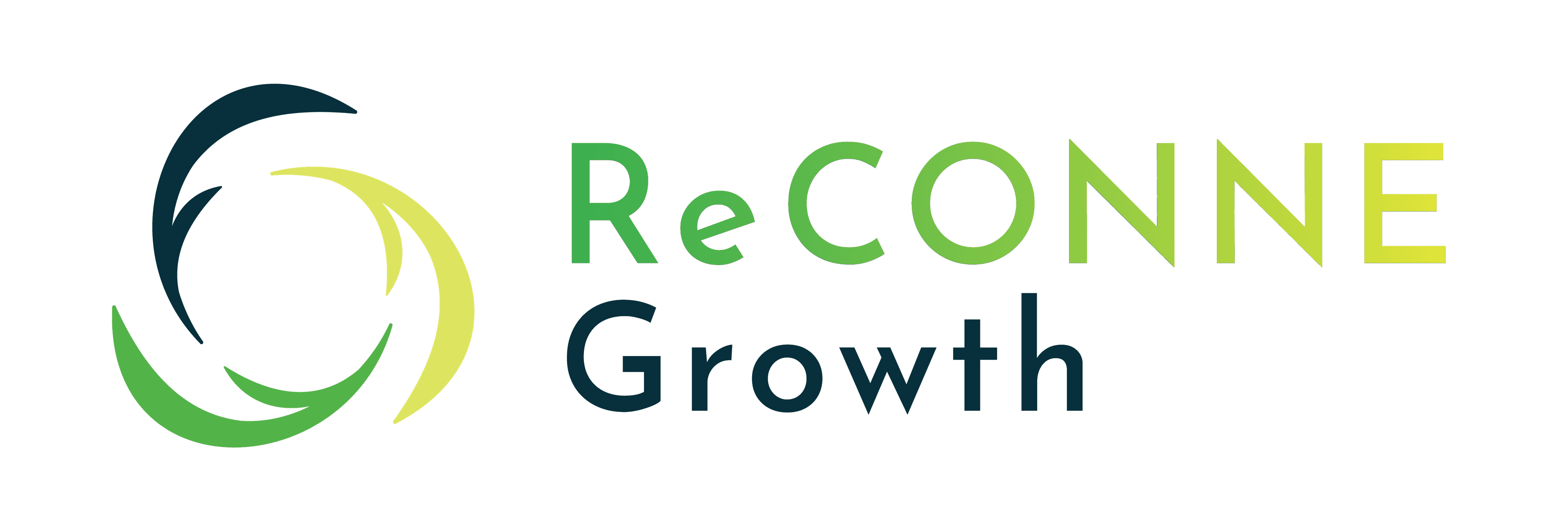 ReCONNE Growth — DIGITAL MARKETING